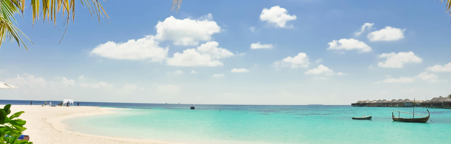 banner image